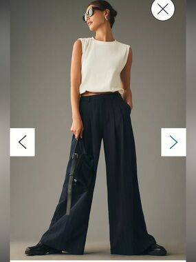 Nwot The Avery Pleated Wide-Leg Trousers Maeve $160 pinstripe spring casual